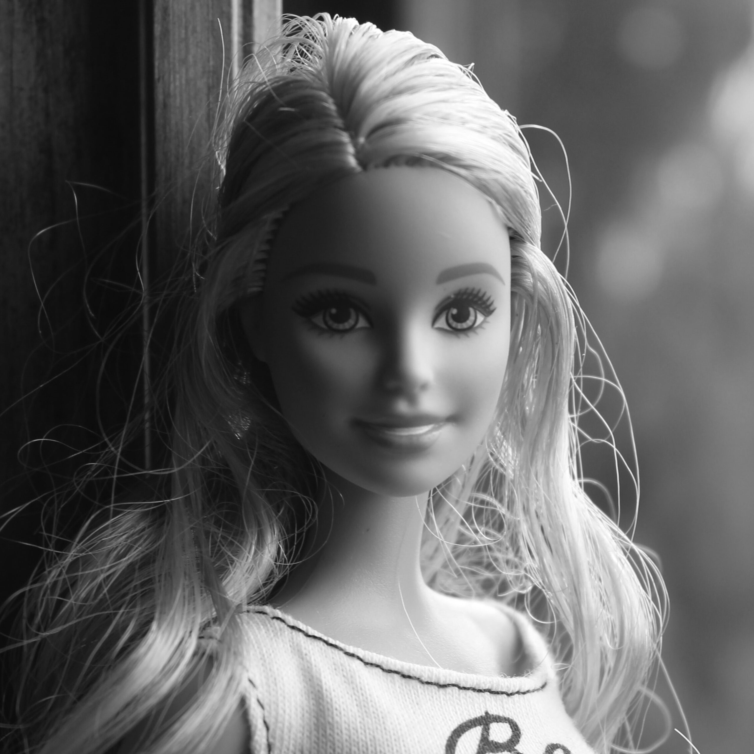 Barbie Vs Barbie Girl Considerations In A Parody World Cole Schotz
